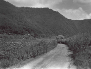 Country road in Andong (1984)