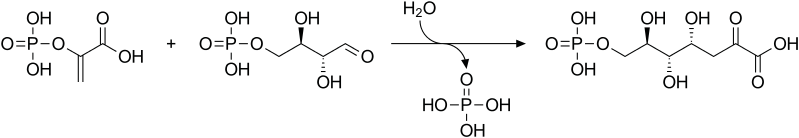 File:DAHP synthase reaction.svg