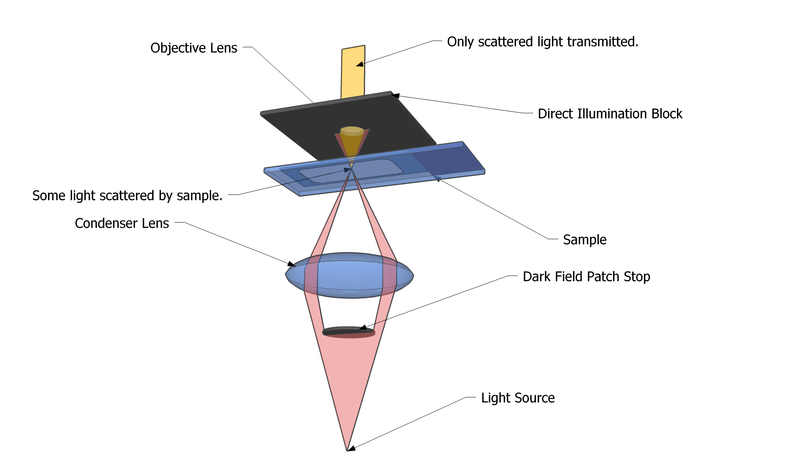 File:Dark Field Microscope.png