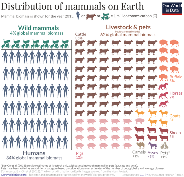 File:Distribution-of-earths-mammals.png