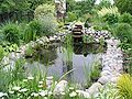 Garden pond