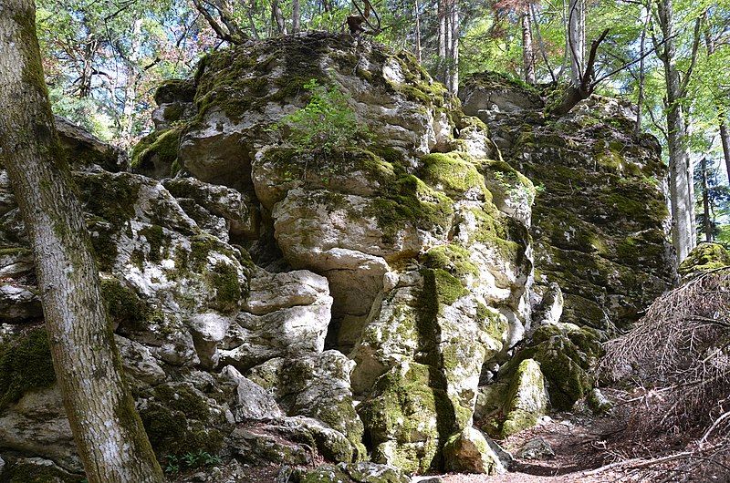 File:Geotop Felsenmeer (Albstadt-Laufen).jpg