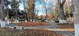 A park in Goygol