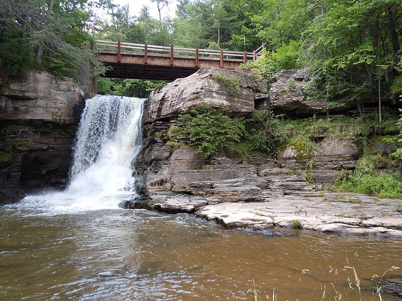 File:Hardenburgh Falls.JPG