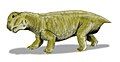 Lystrosaurus, South Africa, India, Antarctica, 2 m