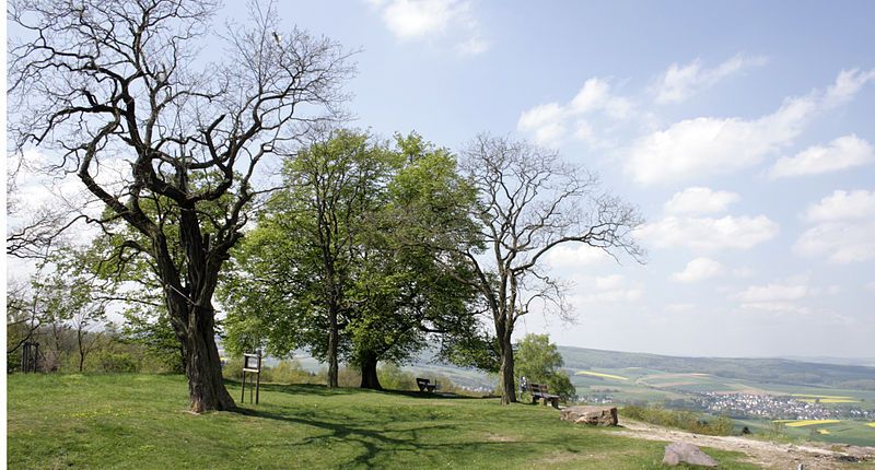 File:Mensfelder Kopf.jpg