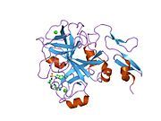 1wu1: Factor Xa in complex with the inhibitor 4-[(5-chloroindol-2-yl)sulfonyl]-2-(2-methylpropyl)-1-[[5-(pyridin-4-yl) pyrimidin-2-yl]carbonyl]piperazine