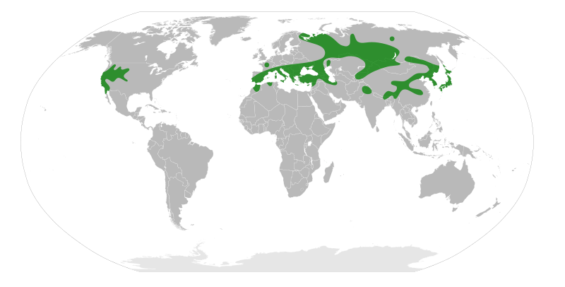 File:Paeoniaceae Distribution.svg