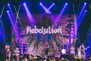 Rebelution performing live at Cali Roots in 2014