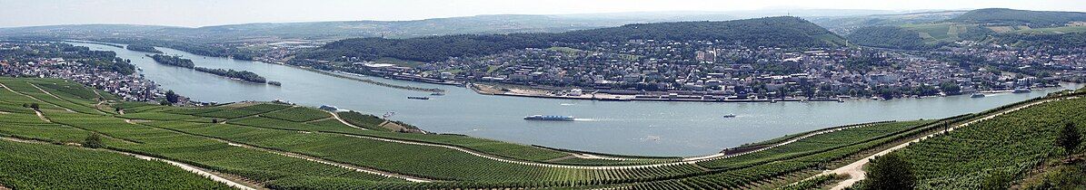 View from the Niederwald-Monument into the Rheingau