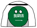  Saudi Arabia