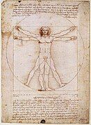 Vitruvian