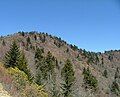 Waterrock Knob in western North Carolina