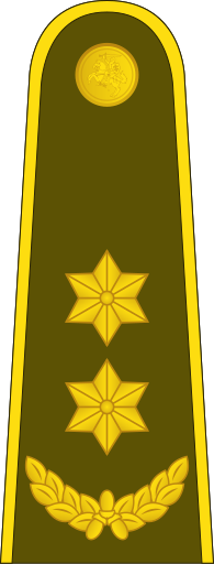 File:17-Lithuania Army-LTC.svg