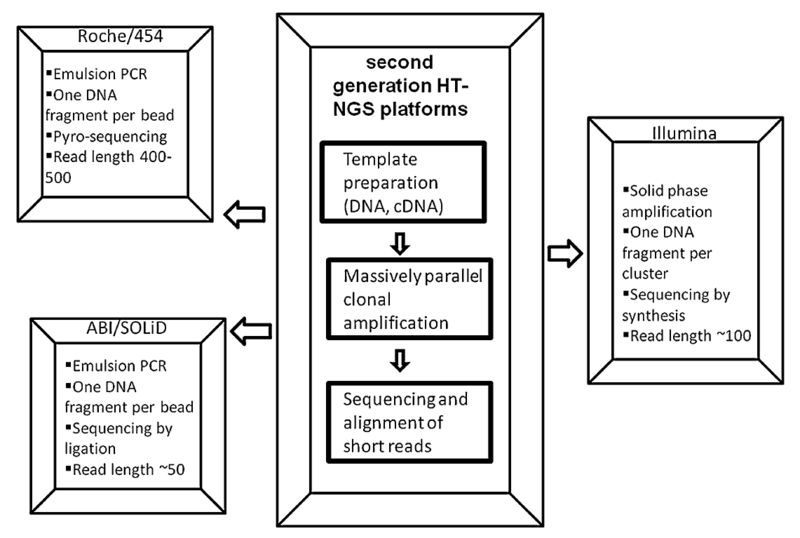 File:2nd Generation Sequencing.png