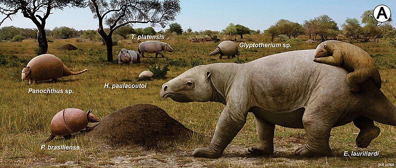 File:A-Pleistocene-meso-megamammals-from-Sergipe-Brazil.jpg