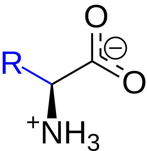 File:Amino acid Template.svg