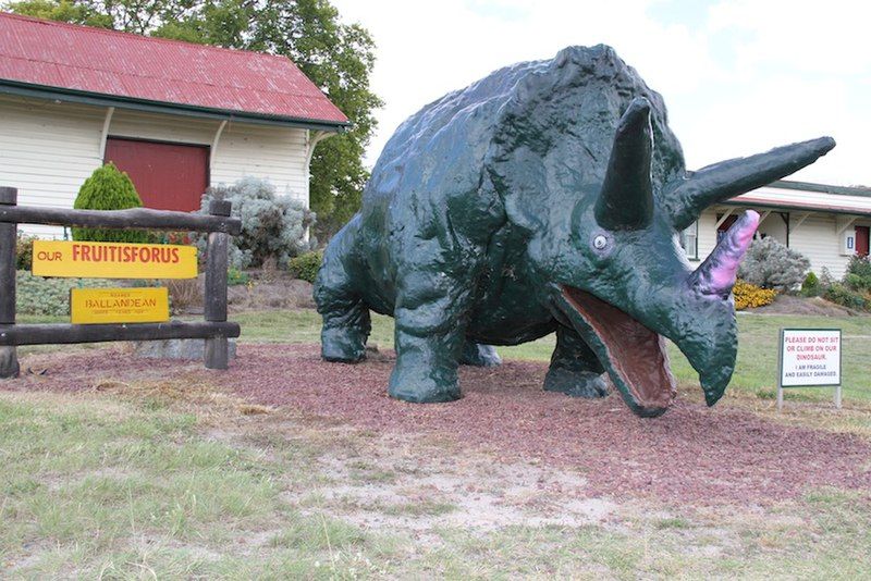 File:Ballandean triceratops.jpg