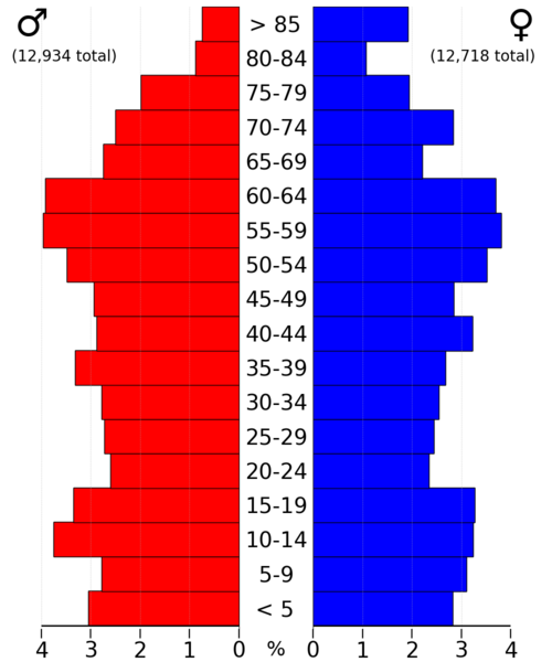 File:BentonCountyIA2022PopPyr.png