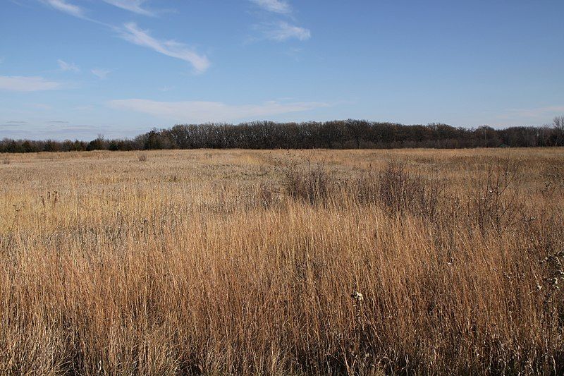 File:Birch coulee battlefield.jpg