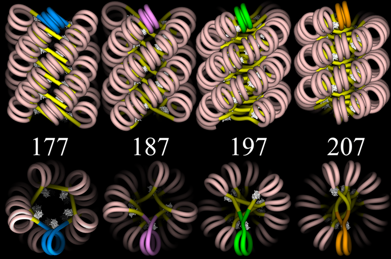 File:ChromatinFibers.png