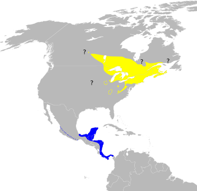 File:Dendroica pensylvanica map.svg