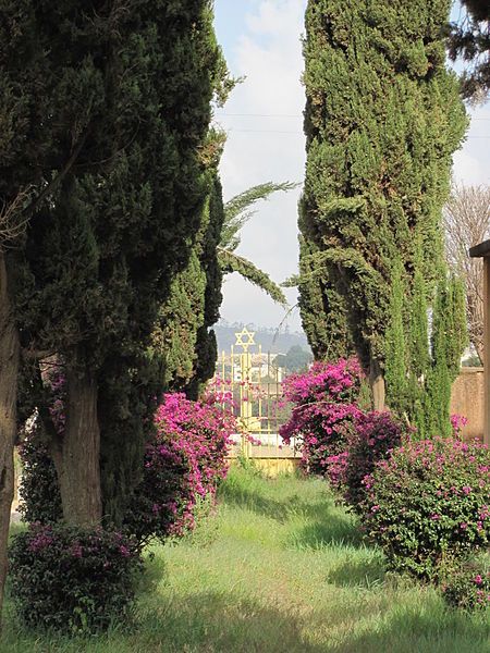 File:Friedhof Asmara 3.JPG