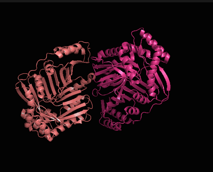 File:Isochorismate Synthase.png