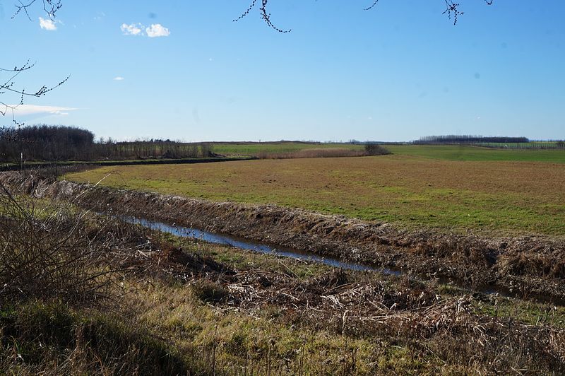 File:Kígyós (Plazović) creek.jpg