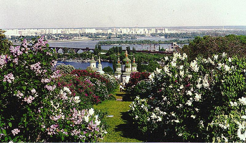 File:Kiev BotanicalGardens lilacs.jpg