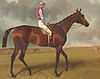 Painting of British racehorse Miss Jummy c.1886