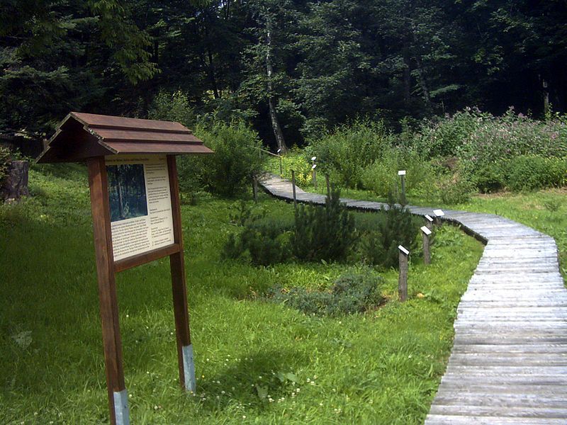 File:Nature Path baerenfels.JPG