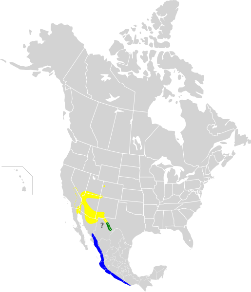 File:Oreothlypis luciae map.svg