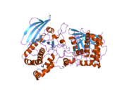 2pi7: Structure of the catalytic domain of the chick retinal neurite inhibitor-Receptor Protein Tyrosine Phosphatase CRYP-2/cPTPRO