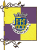 Flag of Ponte de Lima