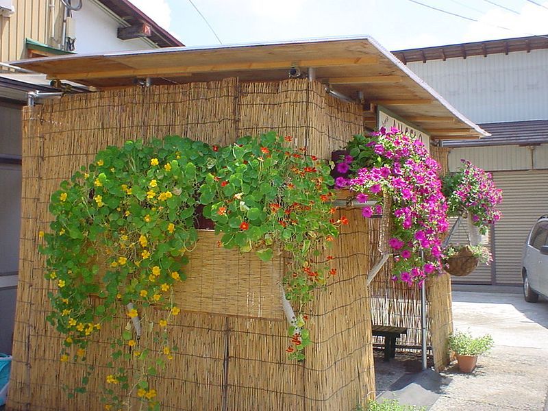 File:Straw-make Hut (231007375).jpg