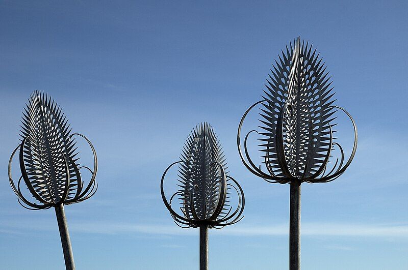 File:Three Muiravonside teasels.jpg