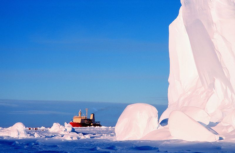 File:WhalesBayIceShelf.jpg