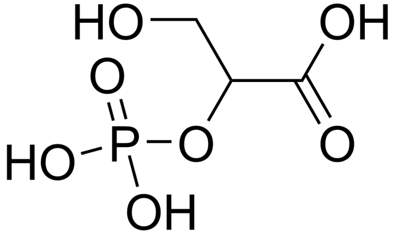 File:2-Phosphoglycerate.png