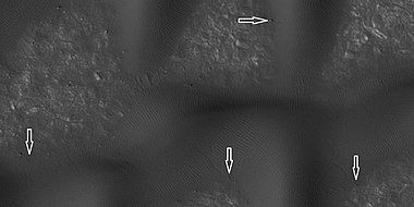 Boulders and tracks, as seen by HiRISE under HiWish program. The arrows show a boulders that have produced a track by rolling down dune. Location is Mare Boreum quadrangle.