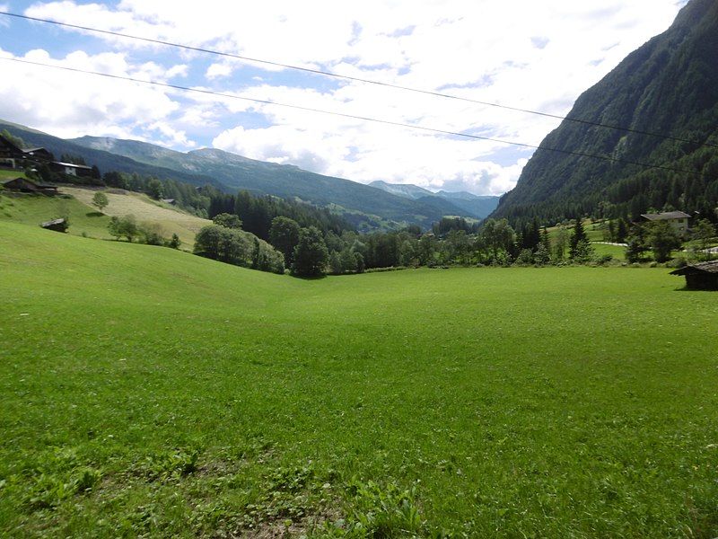 File:Austrian field.jpg