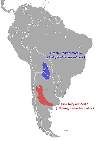 File:Chlamyphorus Range.jpg