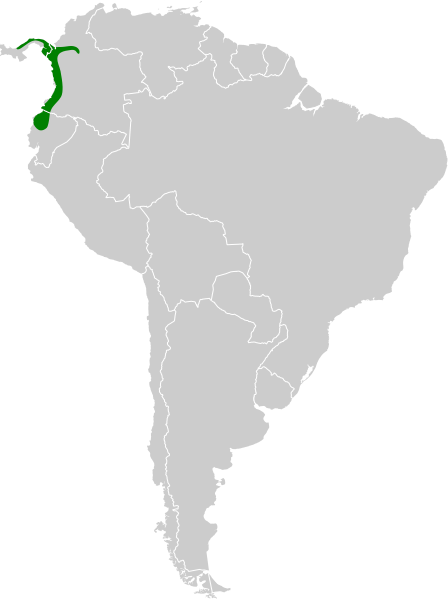 File:Cryptoleucopteryx plumbea map.svg