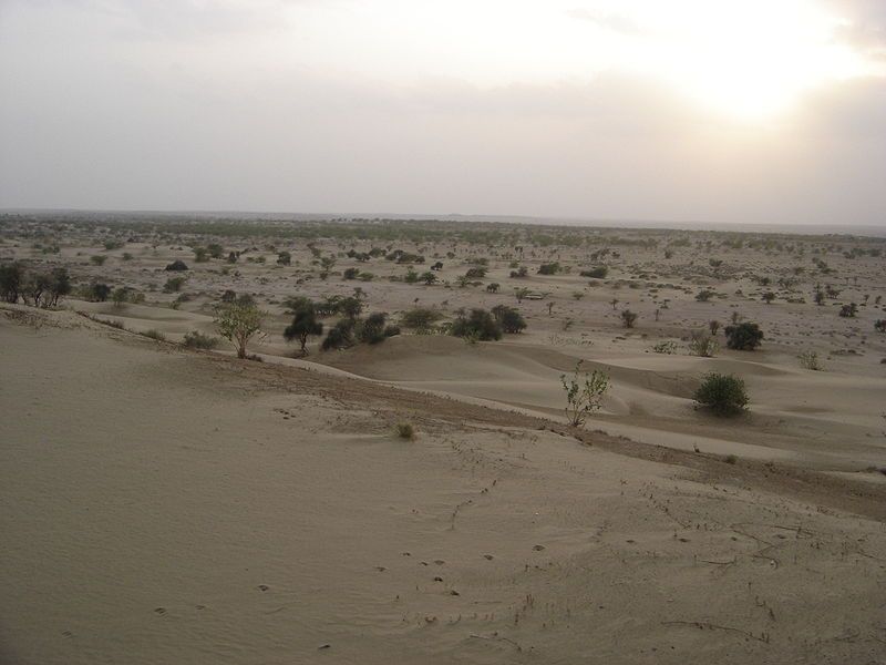 File:Désert du Rajasthan.jpg