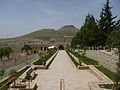 The tree lined path to the monastery