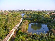 The remains of a dam surrounded by ponds and plant life.