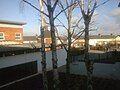 Admin Block as seen from the 2nd Floor East wing Corridor