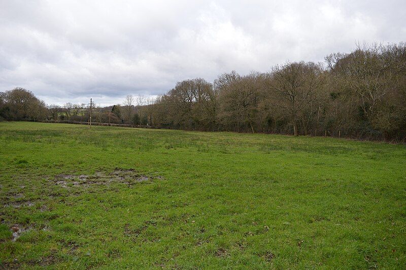 File:Frieth Meadows 2.JPG