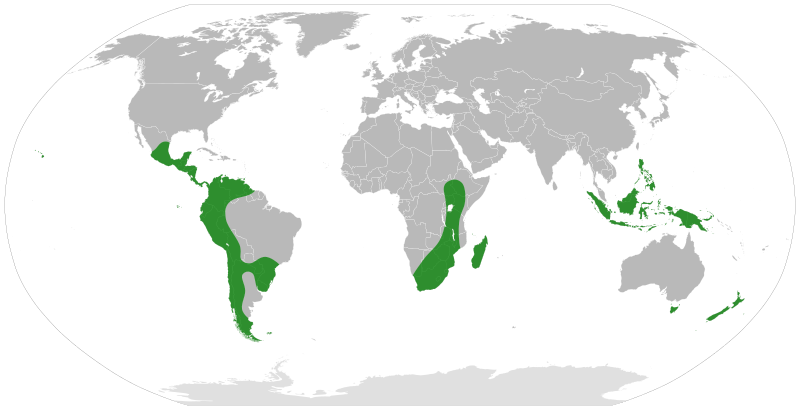 File:Gunnera distribution.svg