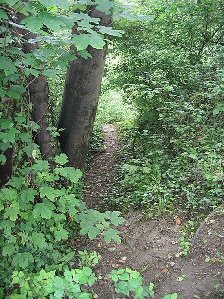 File:Hilsea Lines overgrown.jpg